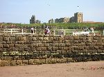 2006-0606-1526-50.jpg